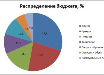 Распределение бюджета, % в Казахстане в семье